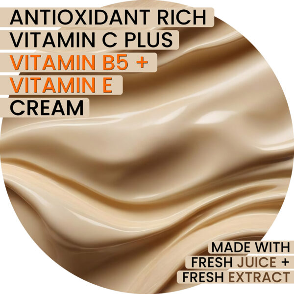 Blueberry Chebula Vitamin C+ Cream - Image 2