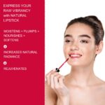 Hydrating Antioxidant Lipstick – Plant-Based Nourishment with Hyaluronic Acid, Vitamin C & E | Brightens & Softens Lips | 8ml / 0.28 fl oz - Image 4