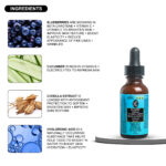 Blueberry Chebula Vitamin C+ Face Serum – Brightening, Anti-Aging & Hydrating | Hyaluronic Acid + Vitamin B5 & E | 30ML - Image 6