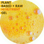 New Golden Facial Cleanser – Daily Hydrating Face Wash | Turmeric Extract + Neem Oil + Vitamin B5 | 237mL - Image 2